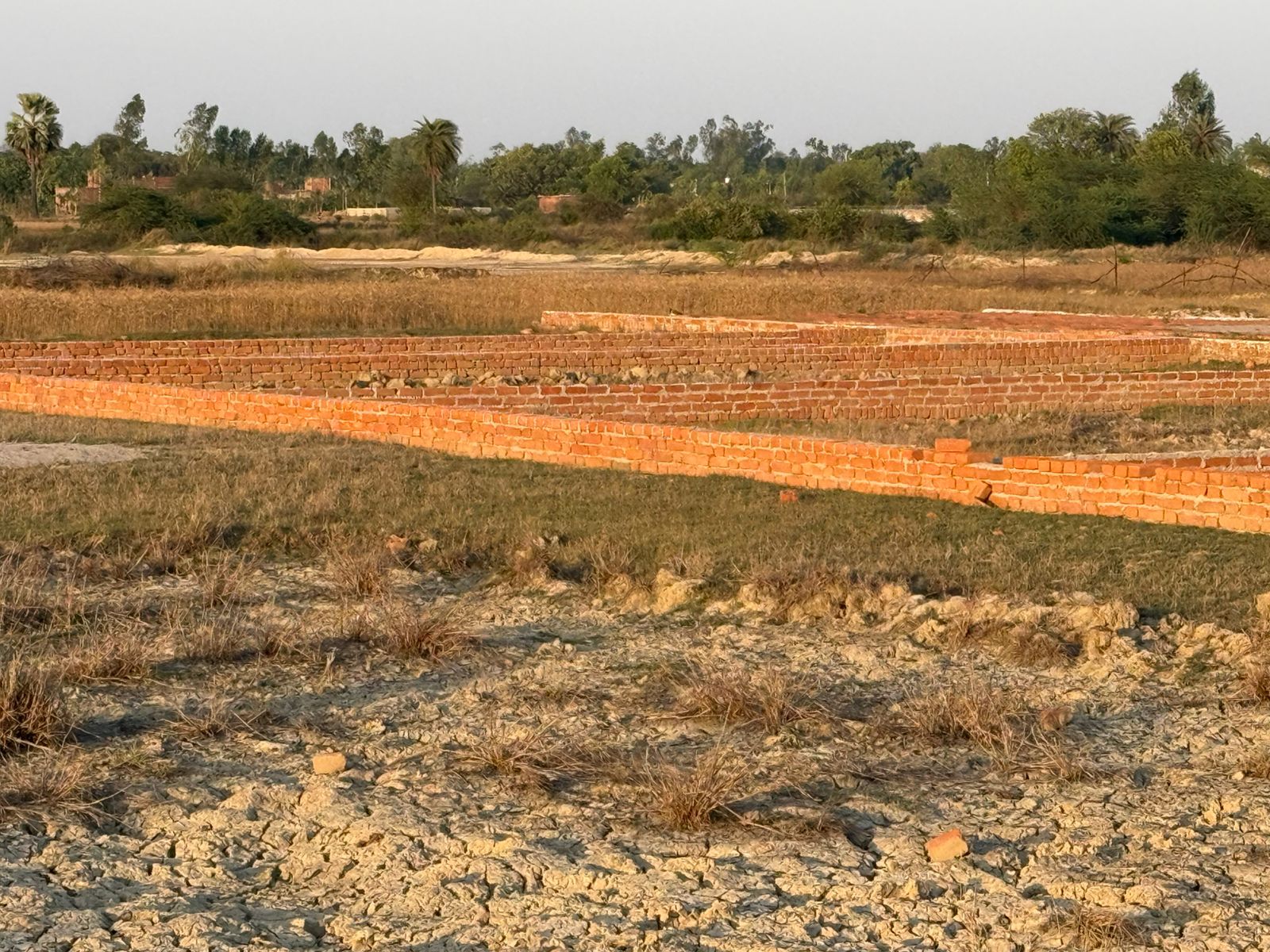 Site Image 1